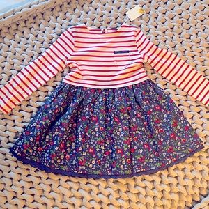 Mini Boden Autumn Berry Floral Dress 3-4Y NWT